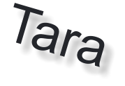 Tara